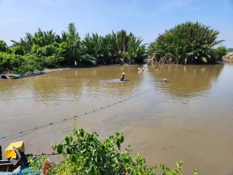hinh-fishing-28