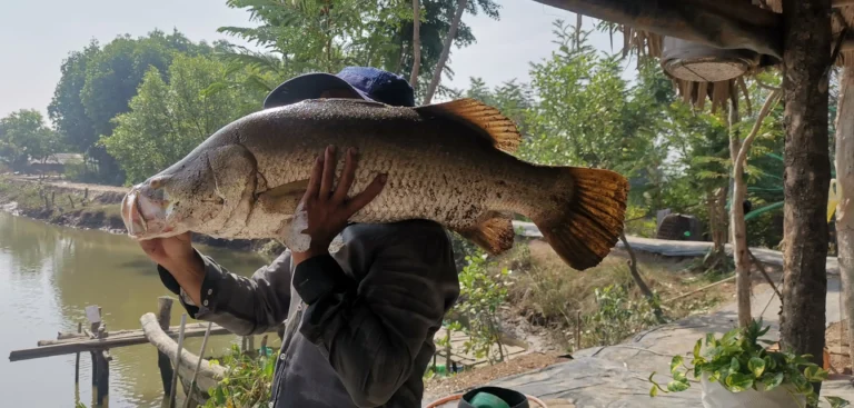 hinh-fishing-5